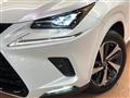 2019 Lexus NX