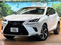 2019 Lexus NX