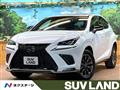 2020 Lexus NX