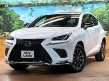 2020 Lexus NX