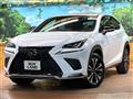 2020 Lexus NX