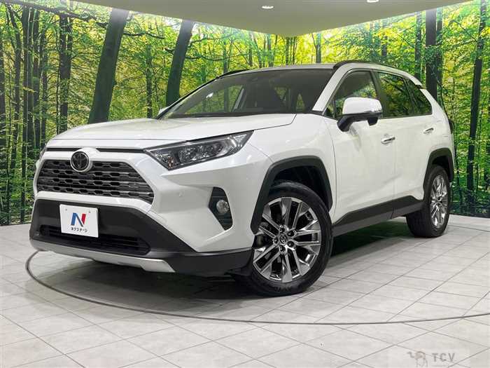 2019 Toyota RAV4