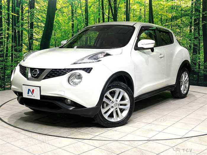 2019 Nissan Juke