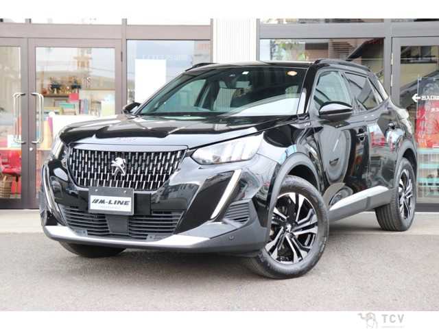 2023 Other All Other All