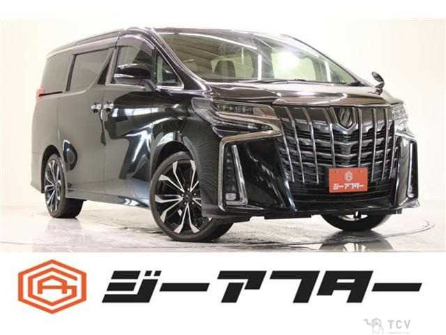 2019 Toyota Alphard G