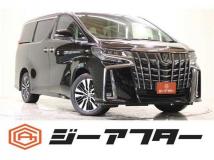 2019 Toyota Alphard G