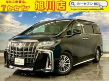 2019 Toyota Alphard G
