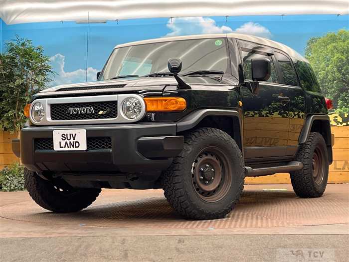 2011 Toyota FJ Cruiser