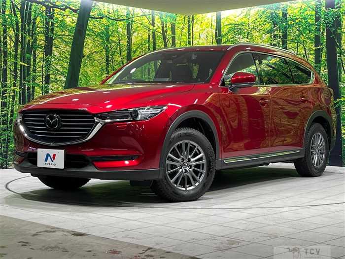 2019 Mazda CX-8