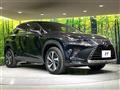 2018 Lexus NX