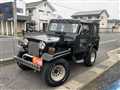 1990 Mitsubishi Jeep
