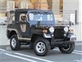 1995 Mitsubishi Jeep
