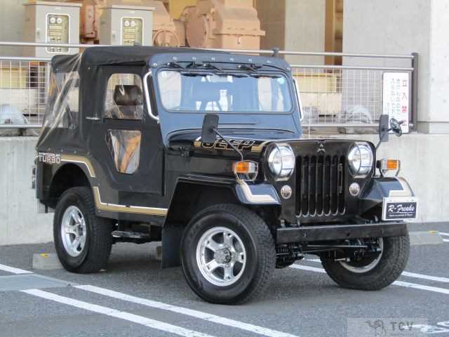 1995 Mitsubishi Jeep