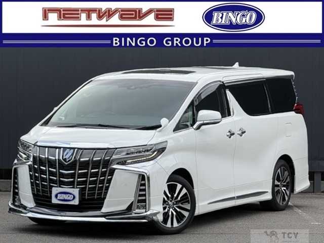 2019 Toyota Alphard G