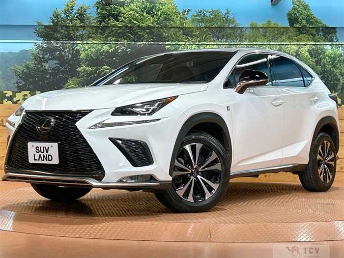 2018 Lexus NX