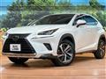 2019 Lexus NX