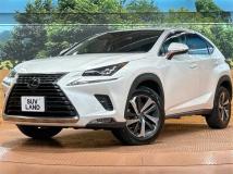 2019 Lexus NX
