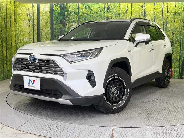 2019 Toyota RAV4