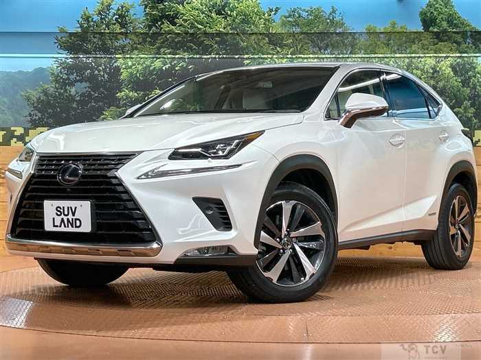 2019 Lexus NX
