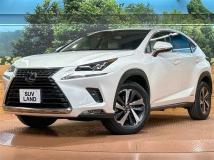 2019 Lexus NX