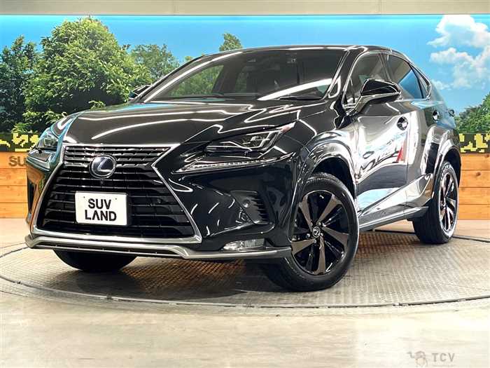 2020 Lexus NX