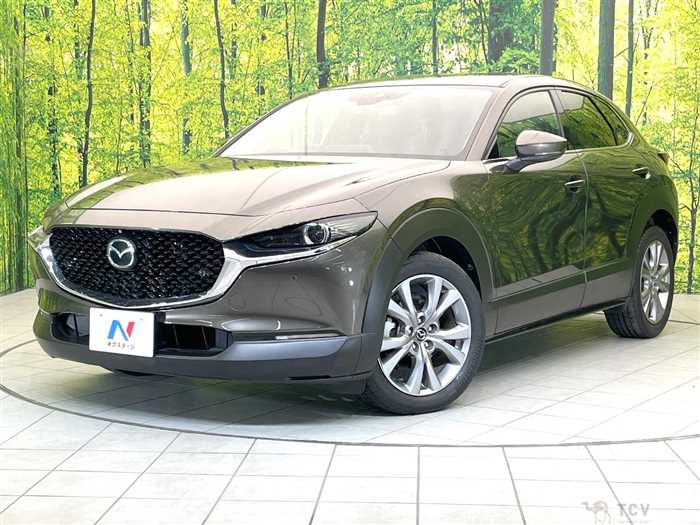 2020 Mazda Mazda Others