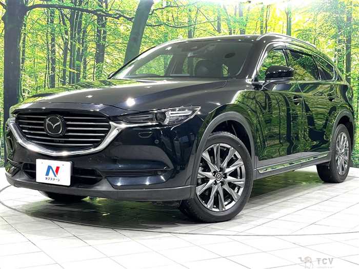 2019 Mazda CX-8