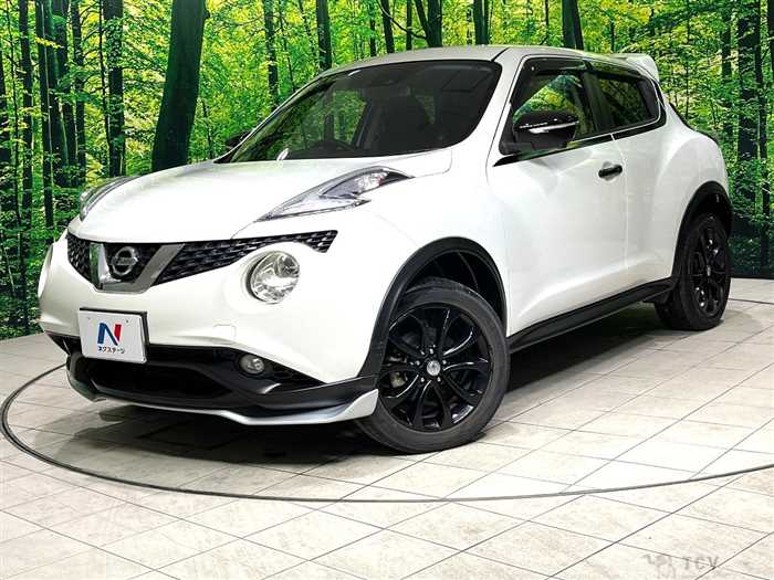 2016 Nissan Juke