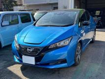 2021 Nissan Nissan Others