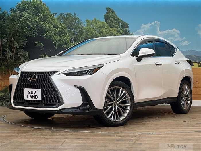 2021 Lexus NX