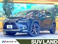 2018 Lexus NX
