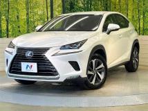 2018 Lexus NX