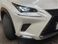 2019 Lexus NX