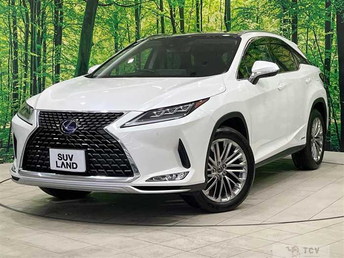 2020 Lexus RX