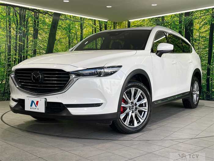 2018 Mazda CX-8