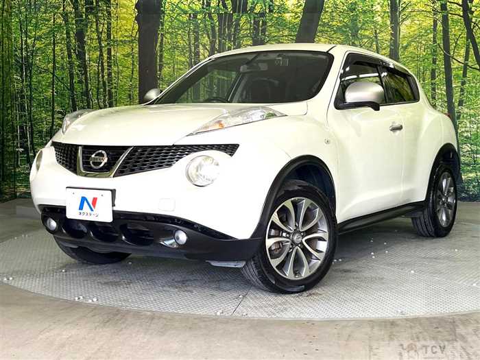 2013 Nissan Juke