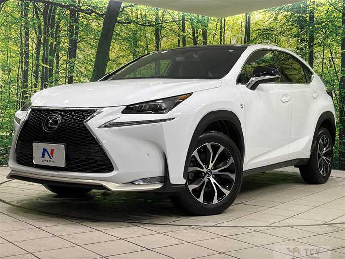 2016 Lexus NX