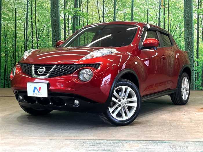 2013 Nissan Juke