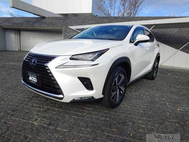 2020 Lexus NX