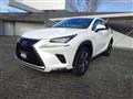 2020 Lexus NX