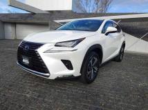 2020 Lexus NX
