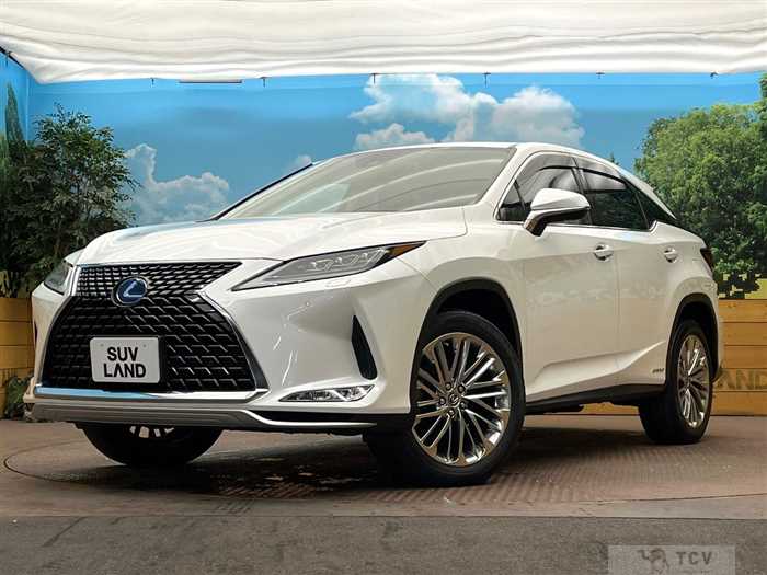 2020 Lexus RX