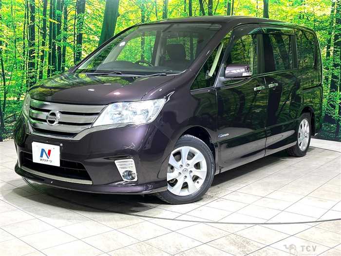 2013 Nissan Serena