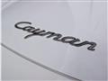 2007 Porsche Cayman