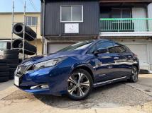 2019 Nissan Nissan Others