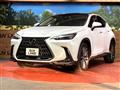 2023 Lexus NX