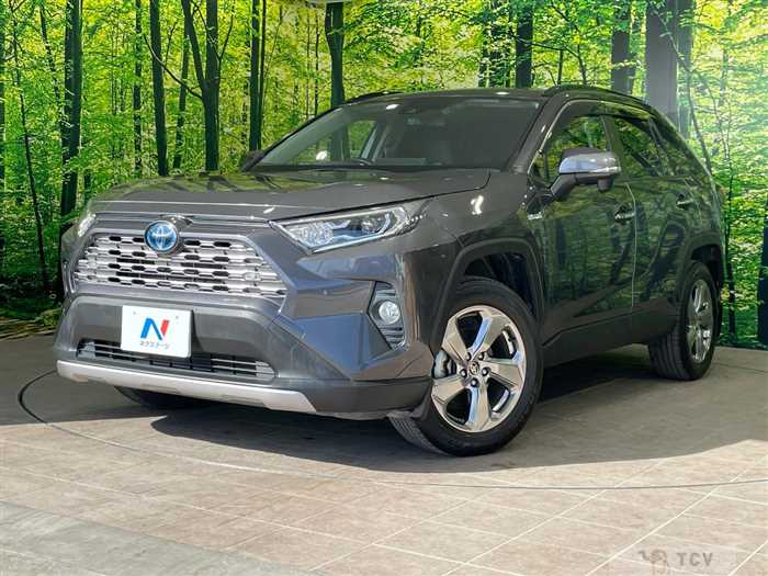 2019 Toyota RAV4