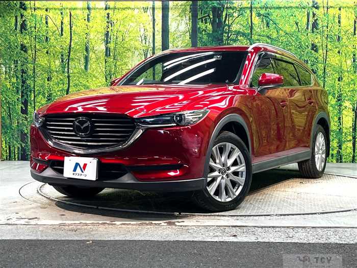 2018 Mazda CX-8