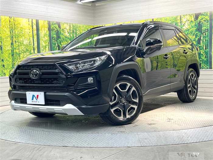 2019 Toyota RAV4