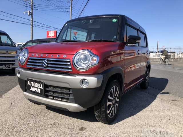 2019 Other All Other All